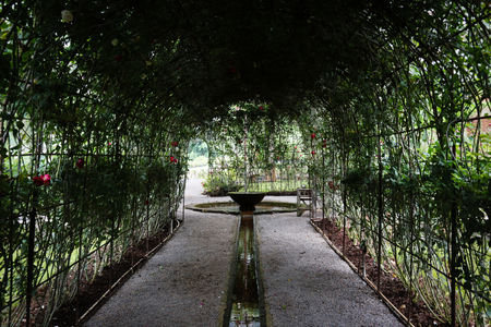 Rose corridor arch with an old fountain inside.の写真素材