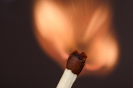 burning match / match in the initial moment of ignitionの写真素材