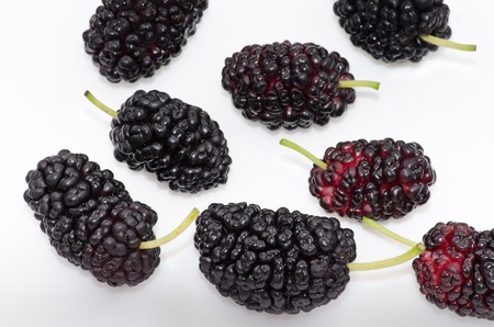 Mulberry fruit on a white background isolatedの写真素材