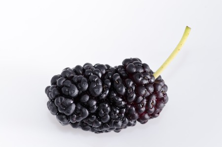 Mulberry fruit on a white background isolatedの写真素材