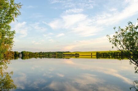 Wild nature, yellow field and sky with reflection in the lakeの写真素材