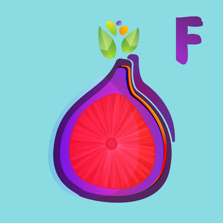 Fruit alphabet. Letter F with fig fruit. Vector illustration.のイラスト素材
