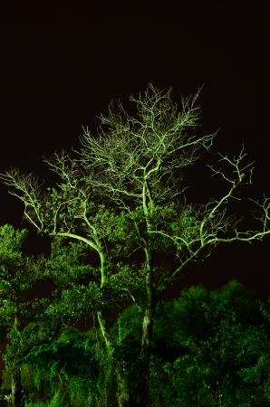 Glow In The Darkの写真素材