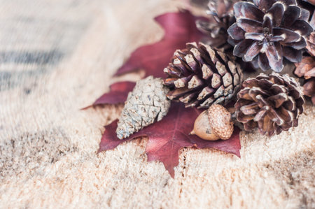 fir cones on a wooden board with leave