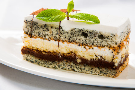 Cake with poppy seed and leaf fresh mint.の写真素材
