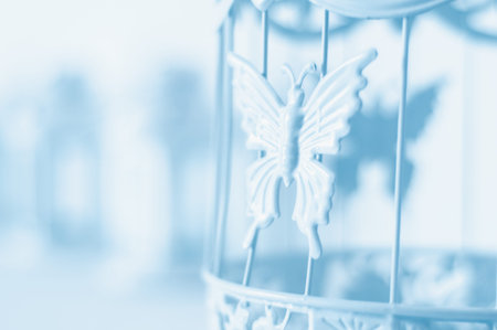 vintage bird cage on the table as part of the interior.