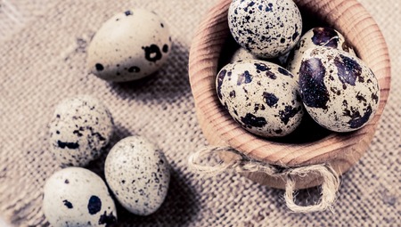 raw quail eggs in a wooden bowl on a burlap backgroundの写真素材