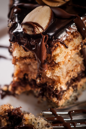 Homemade chocolate cake with walnut and poppy seeds.の写真素材