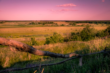 Magnificent greenery in a landscape with a light color and a blue skyの写真素材