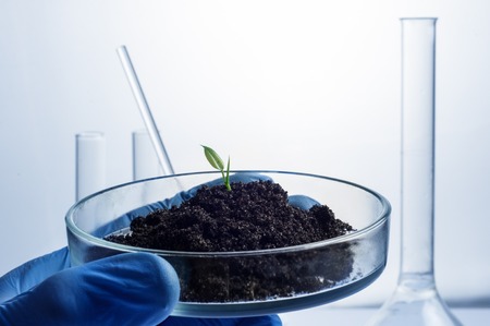 science, biology, ecology, research and people concept - close up of scientist hands holding petri dish with plant and soil sample in bio laboratoryの写真素材