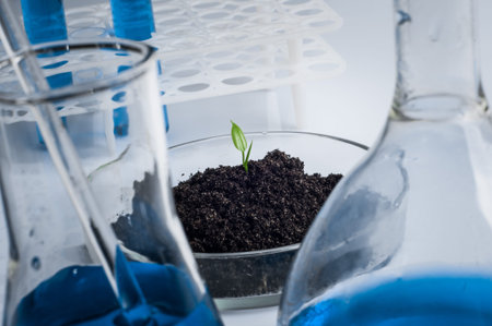 science, biology, ecology, research and people concept - close up of scientist hands holding petri dish with plant and soil sample in bio laboratoryの写真素材