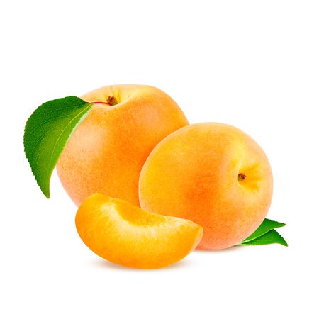 Isolated apricot. Fresh cut apricot fruits isolated on white background, with clipping path.の写真素材