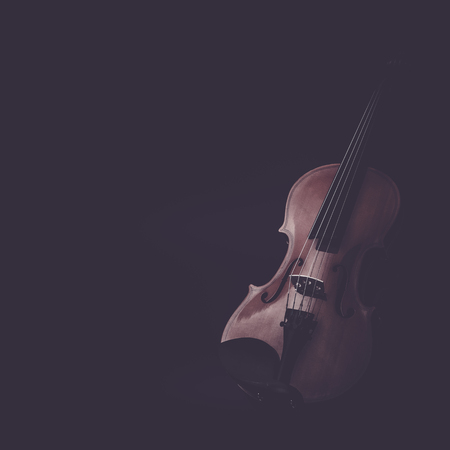 Violin musical instruments of orchestra closeup on blackの写真素材