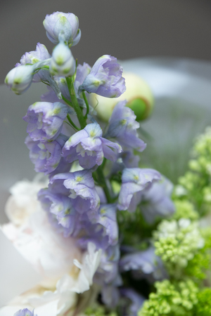 close up of purple flower. Bouquet gathered from different flowers.の写真素材