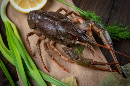Crayfish. Red boiled crawfishes on table in rustic style, closeup. Lobster closeup.の写真素材