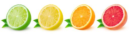 Isolated citrus. Fresh fruits sliced in a row on a white background.の写真素材