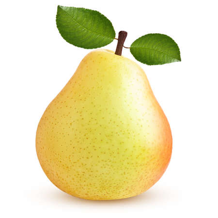 pears isolated on white background.の写真素材