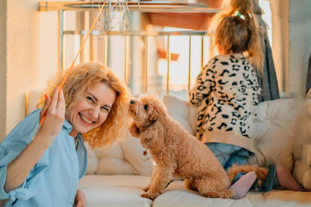 happy mother and daughter play at home on the balcony, sitting on a hammock chair, with a pet: a...