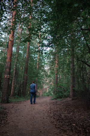 A man walks through the coniferous forest. high quality photoの写真素材