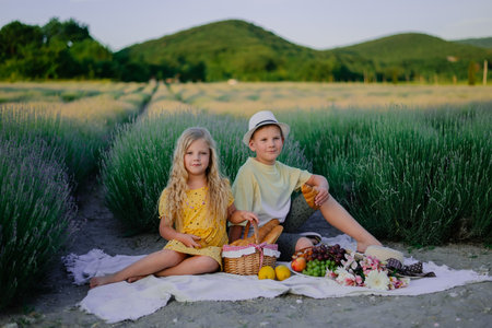 portrait of children in the summer against the background of a field with lavender at a picnicの写真素材