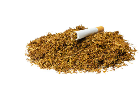 Sliced ââtobacco leaves and handmade cigarette on isolated backgroundの写真素材