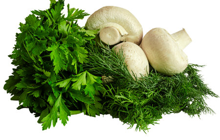Mushrooms with parsley isolated on white backgroundの写真素材