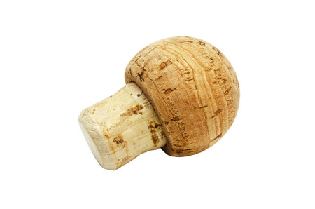A close-up of a wine cork against a bright white background. The cork is cylindrical in shape with a rounded top, showing off the characteristic porous texture of the cork material.の写真素材