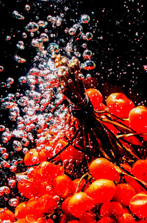A dynamic moment when clusters of bright red rowan berries plunge into the water, releasing a burst of bubbles.の写真素材