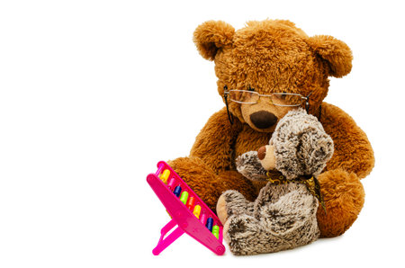 A large brown teddy bear with glasses sits next to a small gray teddy bear, patiently teaching or instructing the little bear with the help of colorful pink toy abacus. The soft toys are isolated on a clean white background, which provides enough space for text.の写真素材