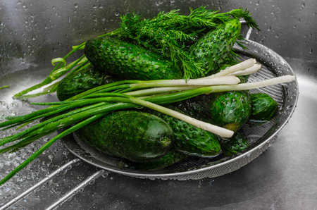 Close-up of freshly washed cucumbers, green onions, and dill in a metal strainer over a wet stainless steel sink. The vibrant green vegetables glisten with water droplets, emphasizing freshness and healthy eating.の写真素材