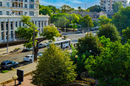 A sun-drenched street in the city shows the combination of classical architecture, lush green trees and the city's public transportation system.の写真素材