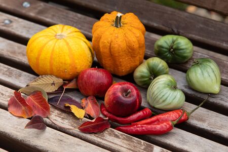 Bright orange pumpkins, red apples and chili peppers, leaves and green heart-shaped tomatoes on gray wooden benchの写真素材