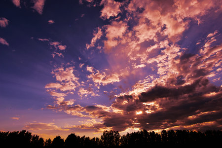 partly cloudy