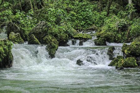 crystalline water running through rocks and a lot of green plants around of it. It is part of park located in the nature park in moyobamba, peru.の写真素材