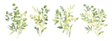 Watercolor hand painted botanical spring leaves and branches illustration clipart isolated on white background. Isolated objects for wedding invitations and greeting cardsの写真素材