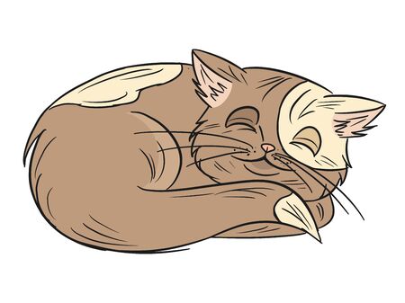 Cute sleeping catのイラスト素材