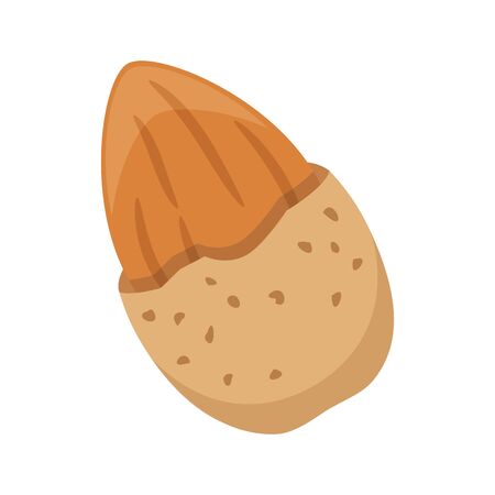 Almond nut isolated on white background, flat style vector illustration.のイラスト素材