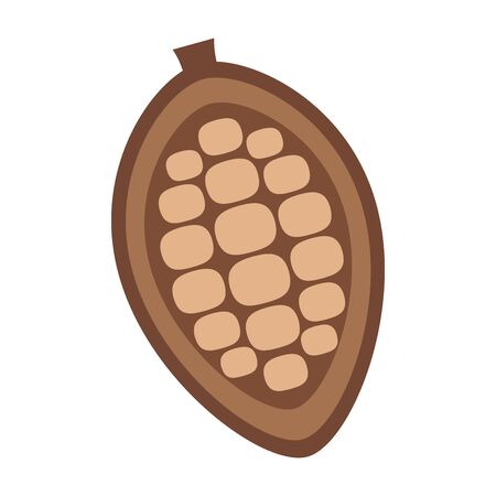 Cocoa pod with beans isolated on white background, vector illustration.のイラスト素材