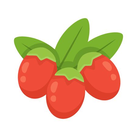 Goji berries isolated on white background, vector illustration.のイラスト素材