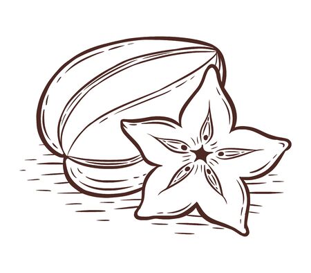 Tasty star fruit on white background, hand drawn vector illustration.のイラスト素材