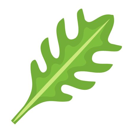 Green rucola leaf isolated on white background, vector illustration.のイラスト素材