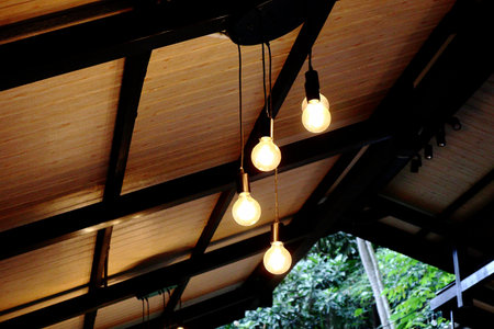 unique decorative lamp there is a protector of iron