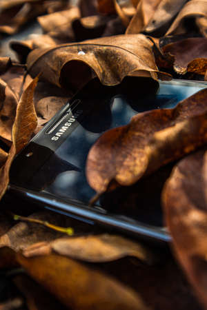bogor,indonesia - 07 july 2021 : samsung mobile on a pile of dry leaves with morning lightのeditorial素材