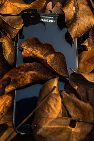 bogor,indonesia - 07 july 2021 : samsung mobile on a pile of dry leaves with morning lightのeditorial素材