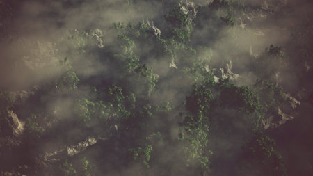Aerial of rocky landscape with palms in the mist.