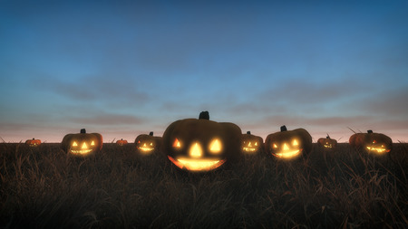 Field wih halloween pumpkins at dusk.の写真素材