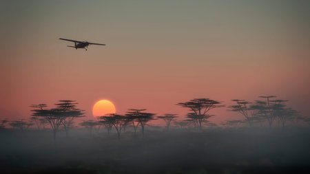 Airplane flying over misty savannah landscape at dawn. Low perspective view.