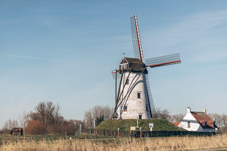 Tall windmill raised on a mound of green grassy earth standing alongside a farmhouse in a rural...
