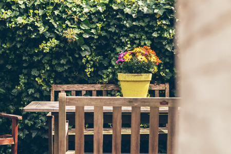 Outdoor wooden furniture on a garden patio with colorful potted summer flowers on the table and a backdrop of green leavesの写真素材
