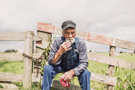 Elderly farm worker sitting relaxing in the sunshine on a wooden fence surrounding a pasture with...